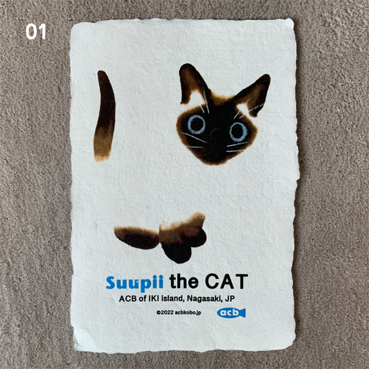 postcard Suupii the CAT