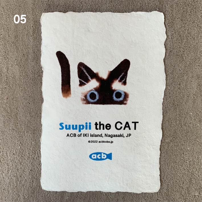 postcard Suupii the CAT